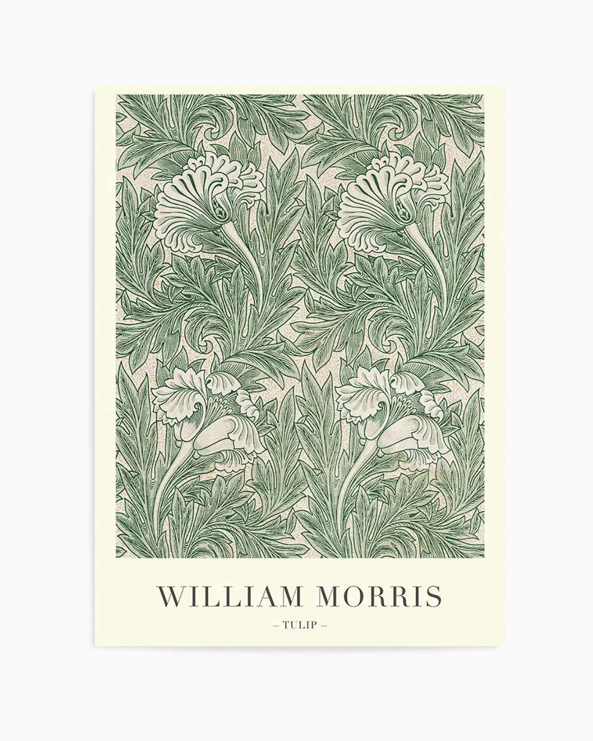 Tulip by William Morris Art Print