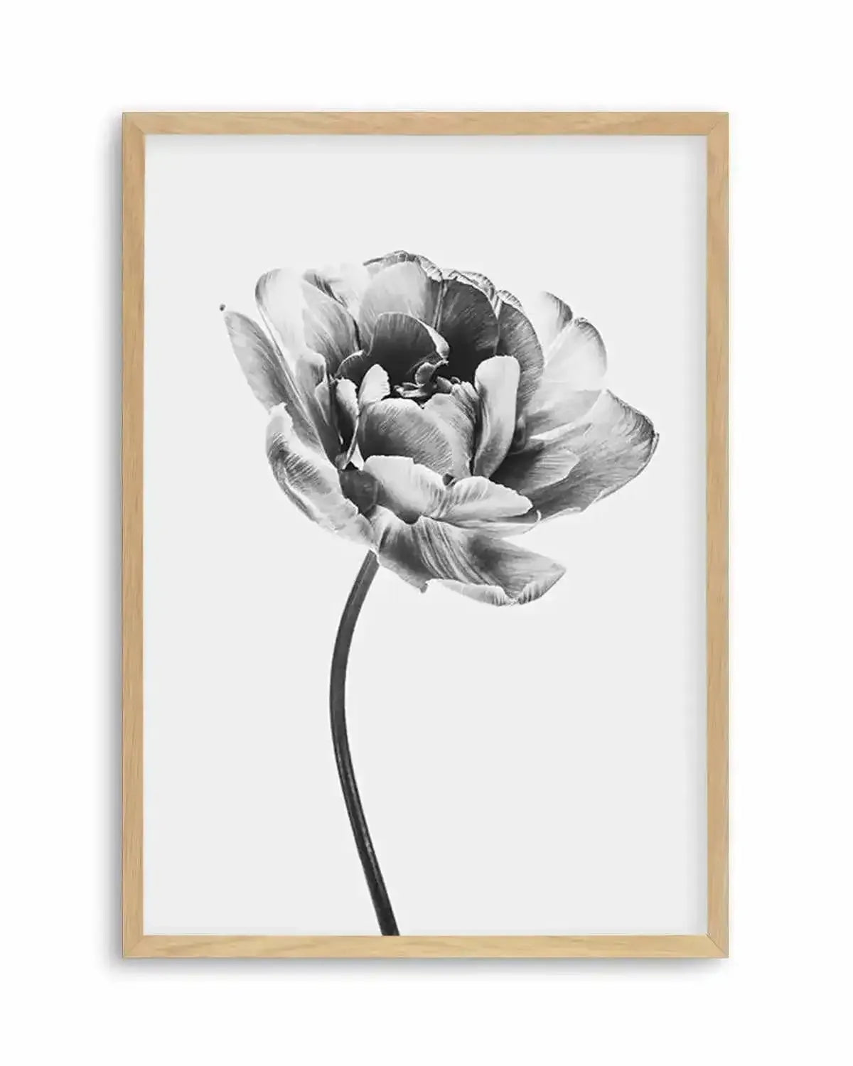 Tulip en Noir Art Print from Olive et Oriel where you can shop wallpaper and artworks online