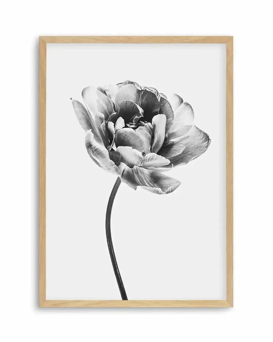 Tulip en Noir Art Print from Olive et Oriel where you can shop wallpaper and artworks online