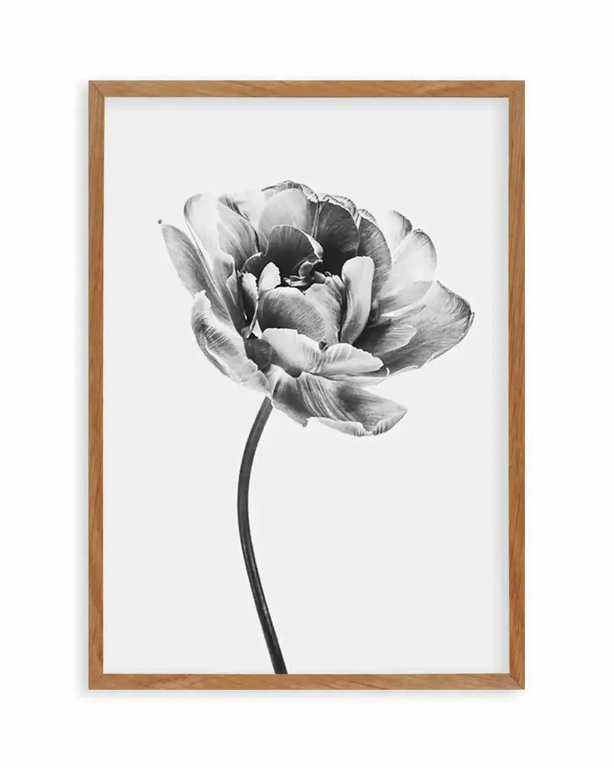 Tulip en Noir Art Print from Olive et Oriel where you can shop wallpaper and artworks online