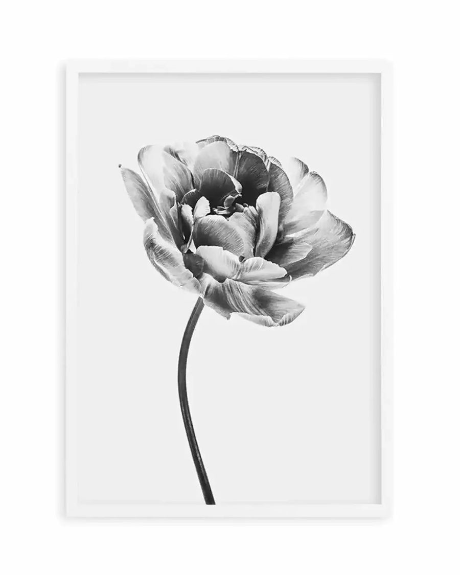 Tulip en Noir Art Print from Olive et Oriel where you can shop wallpaper and artworks online