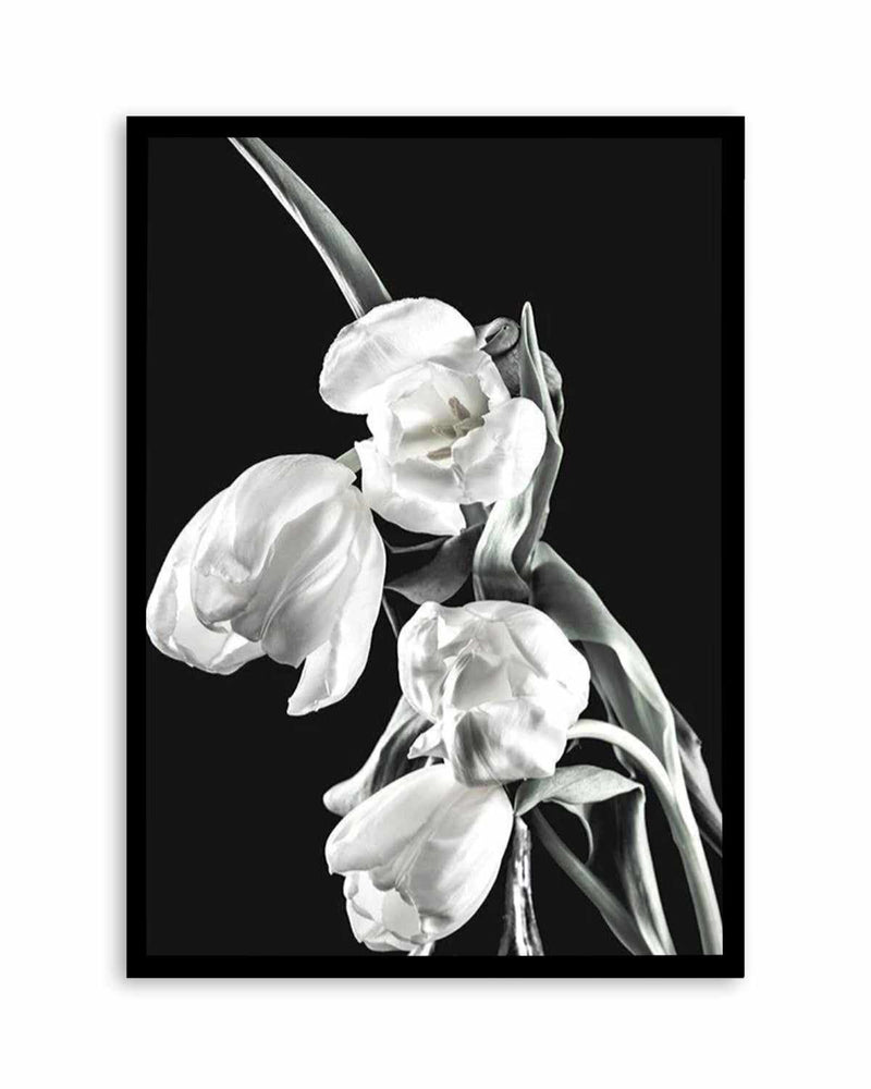 Tulips on Black I Art Print