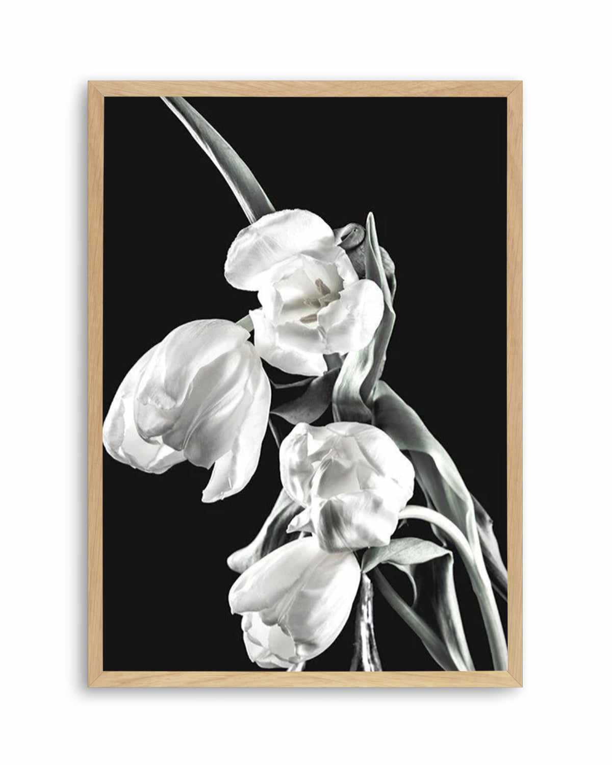 Tulips on Black I Art Print