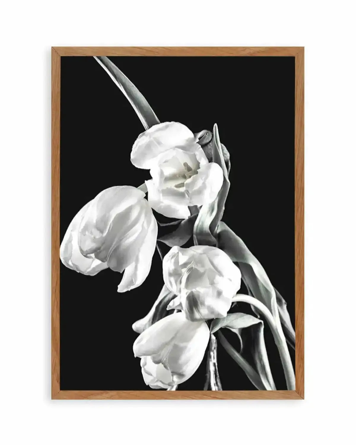 Tulips on Black I Art Print from Olive et Oriel where you can shop wallpaper and artworks online