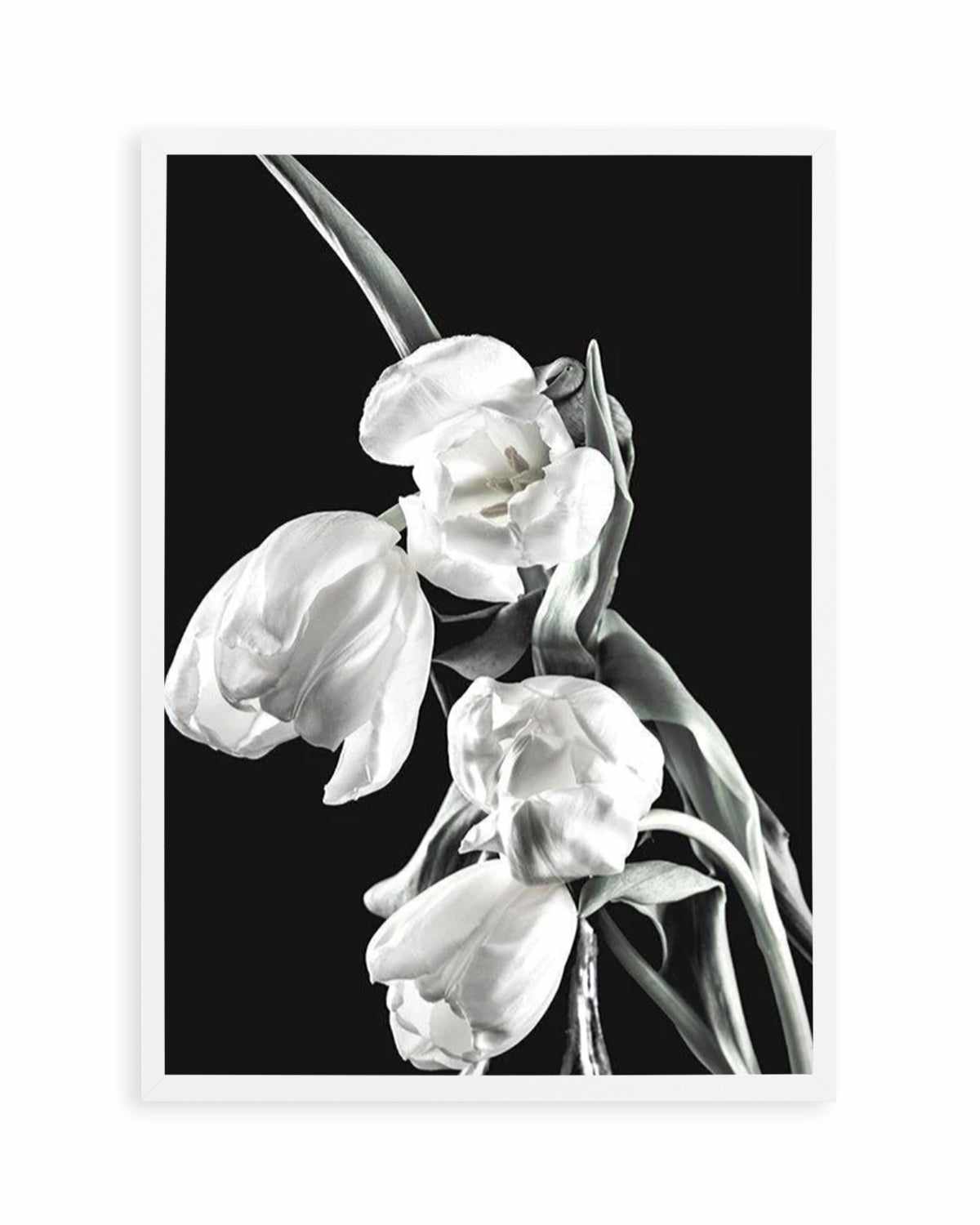 Tulips on Black I Art Print