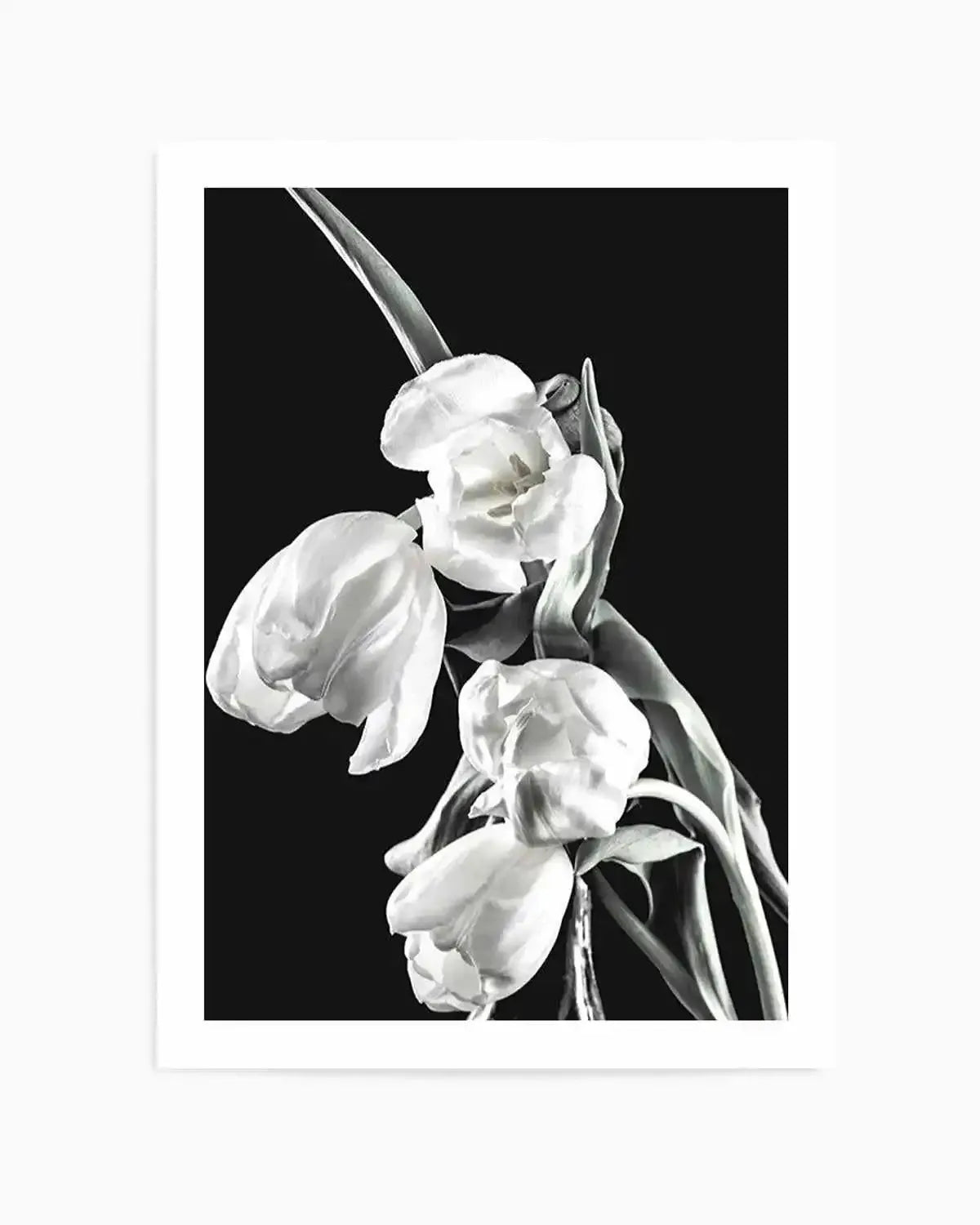 Tulips on Black I Art Print from Olive et Oriel where you can shop wallpaper and artworks online