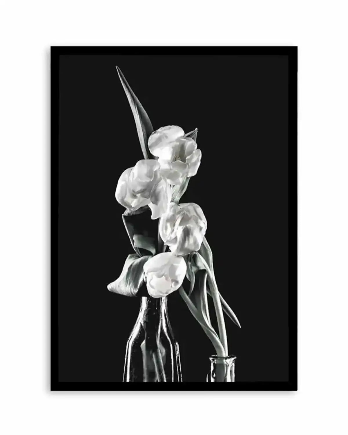 Tulips on Black II Art Print from Olive et Oriel where you can shop wallpaper and artworks online