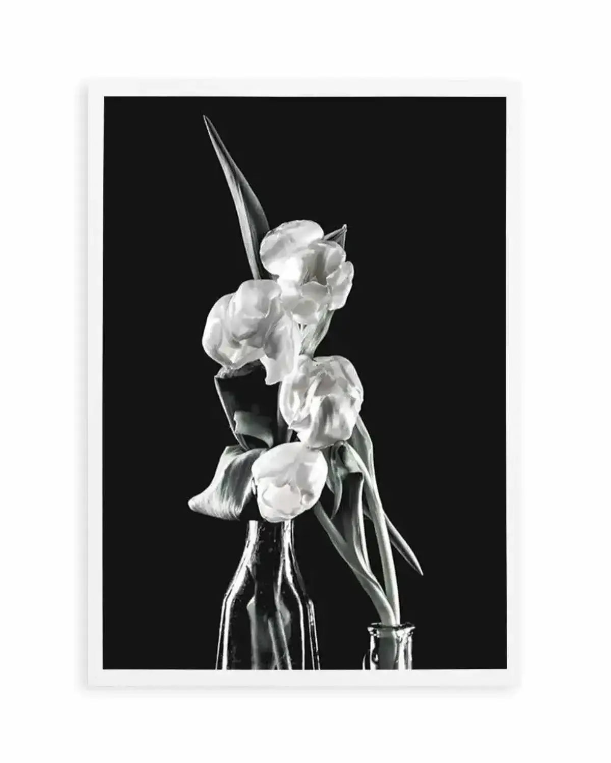 Tulips on Black II Art Print from Olive et Oriel where you can shop wallpaper and artworks online