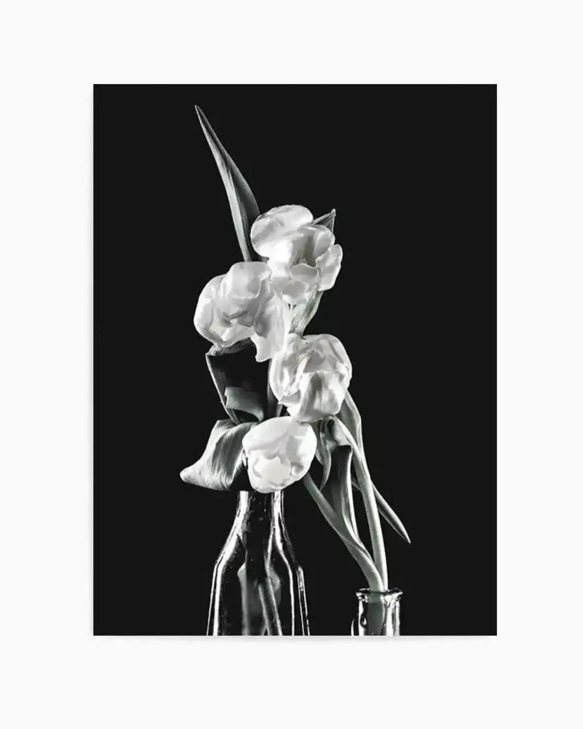 Tulips on Black II Art Print from Olive et Oriel where you can shop wallpaper and artworks online