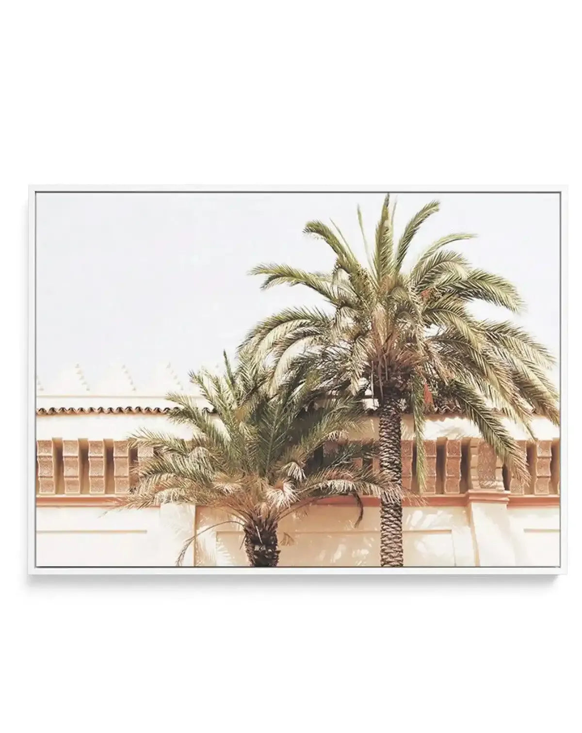 Twin Palms | Framed Canvas-Shop Australian Art Prints Online with Olive et Oriel - Our collection of Moroccan art prints offer unique wall art including moroccan arches and pink morocco doors of marrakech - this collection will add soft feminine colour to your walls and some may say bohemian style. These traditional morocco landscape photography includes desert scenes of palm trees and camel art prints - there is art on canvas and extra large wall art with fast, free shipping across Australia. U