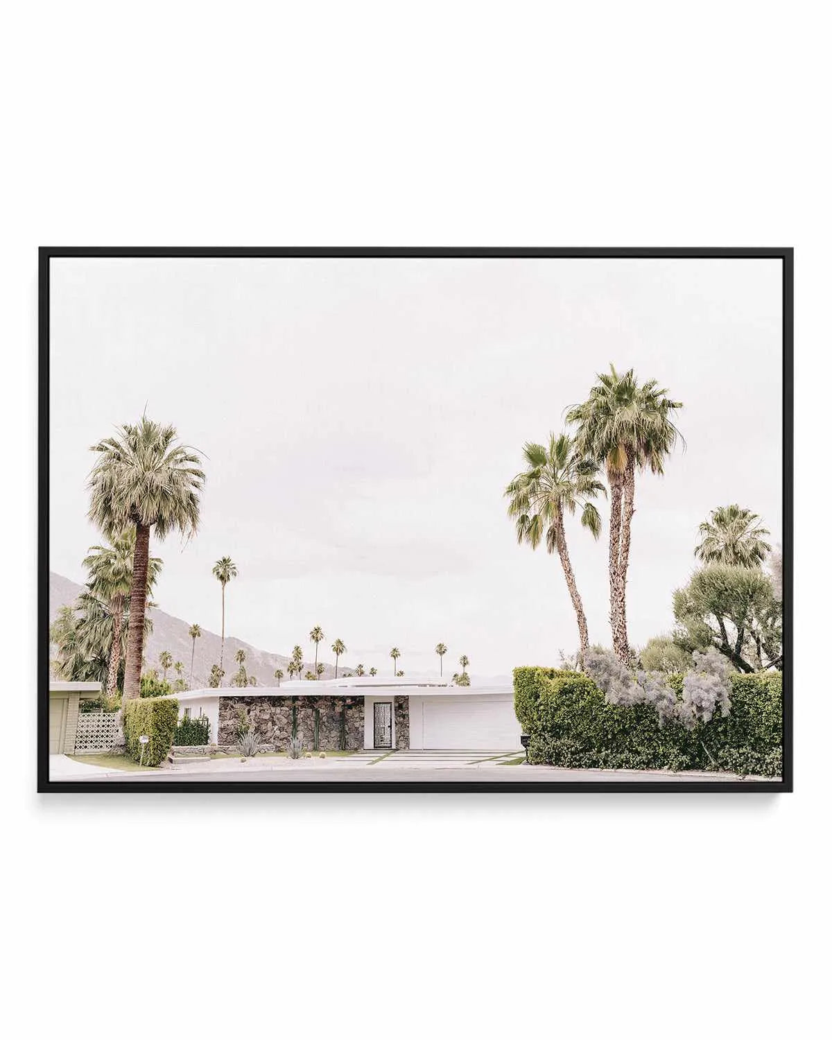 Twin Palms, Palm Springs | Framed Canvas Art Print from Olive et Oriel where you can shop wallpaper and artworks online
