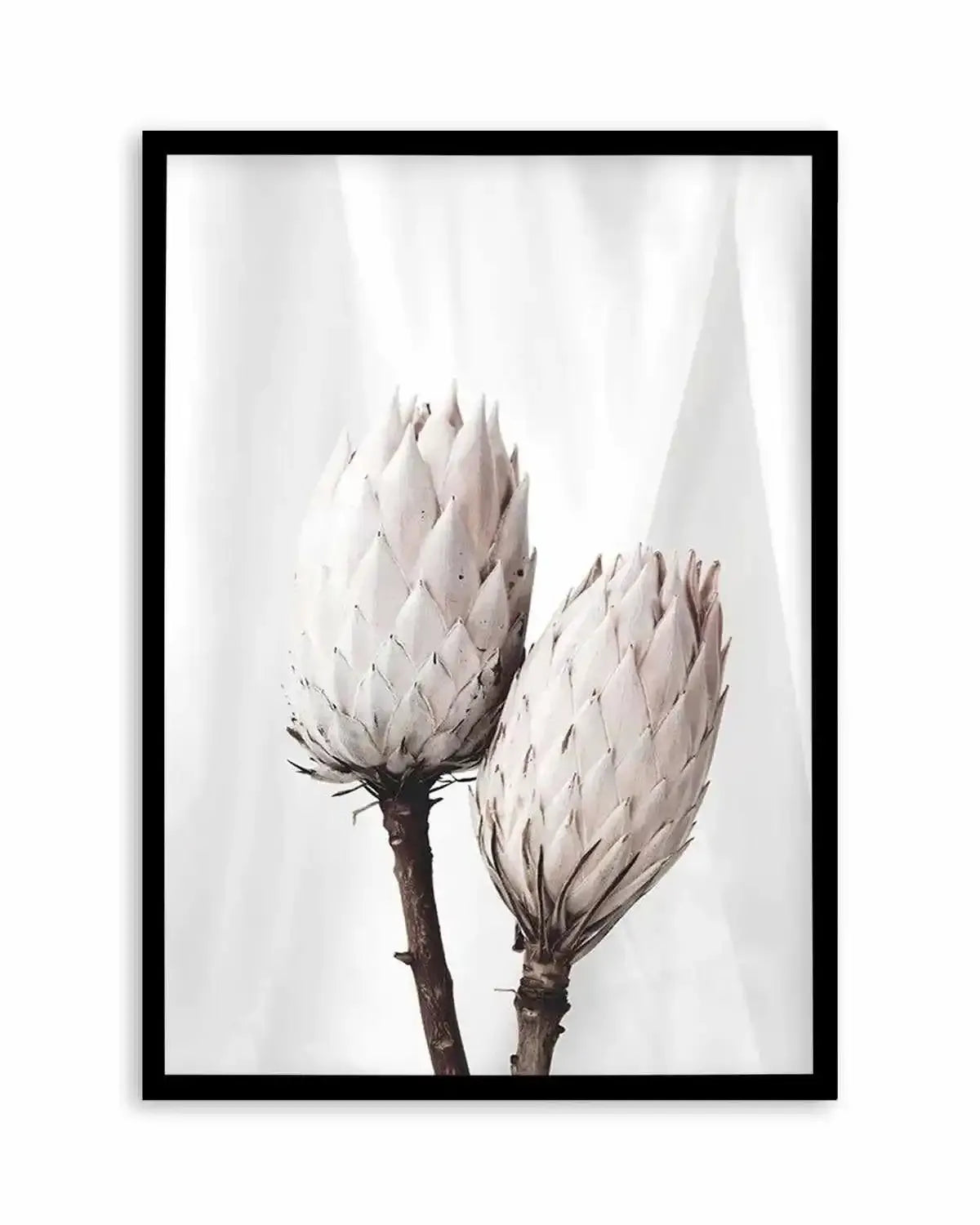 Twin Protea Art Print from Olive et Oriel where you can shop wallpaper and artworks online