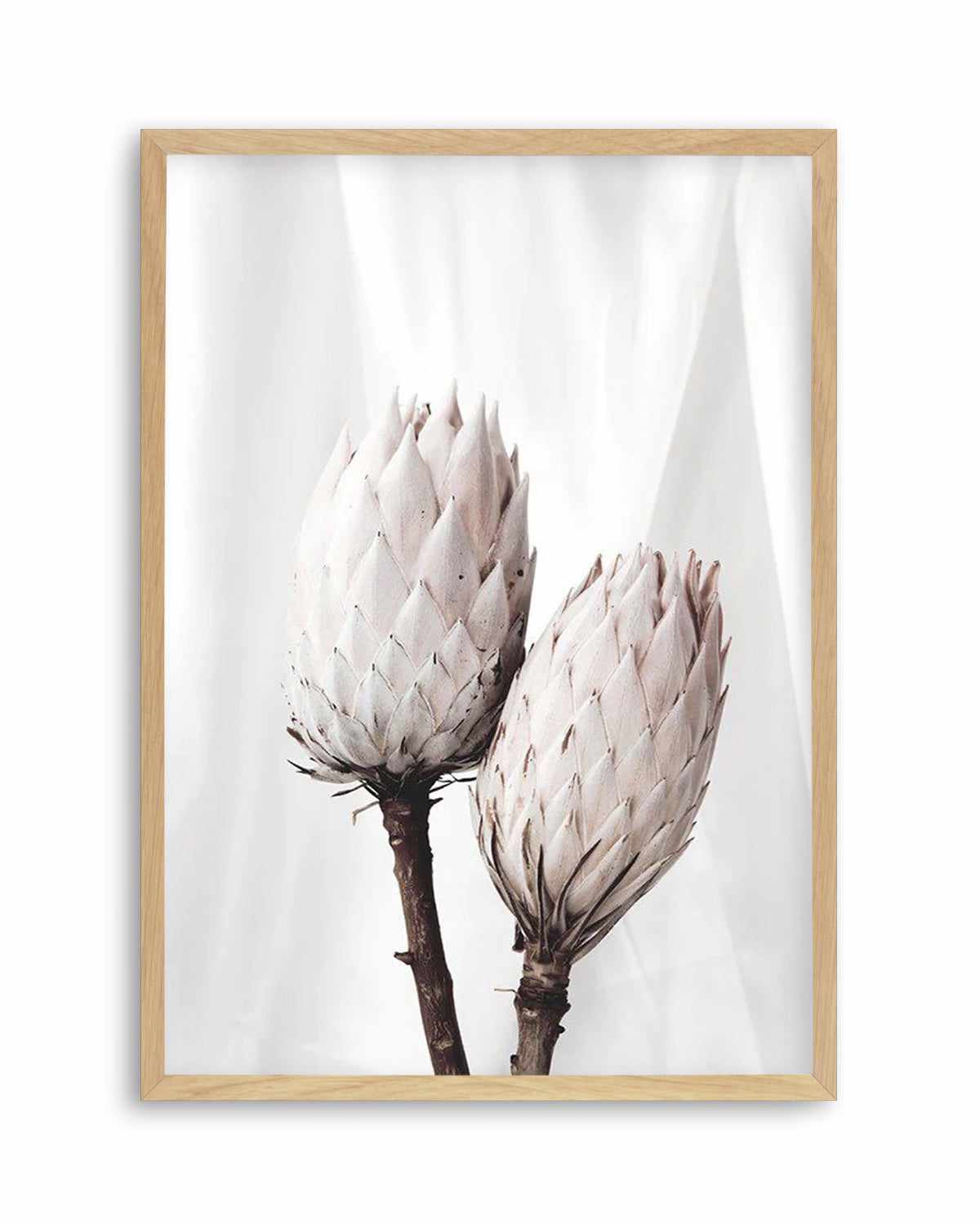 Twin Protea Art Print