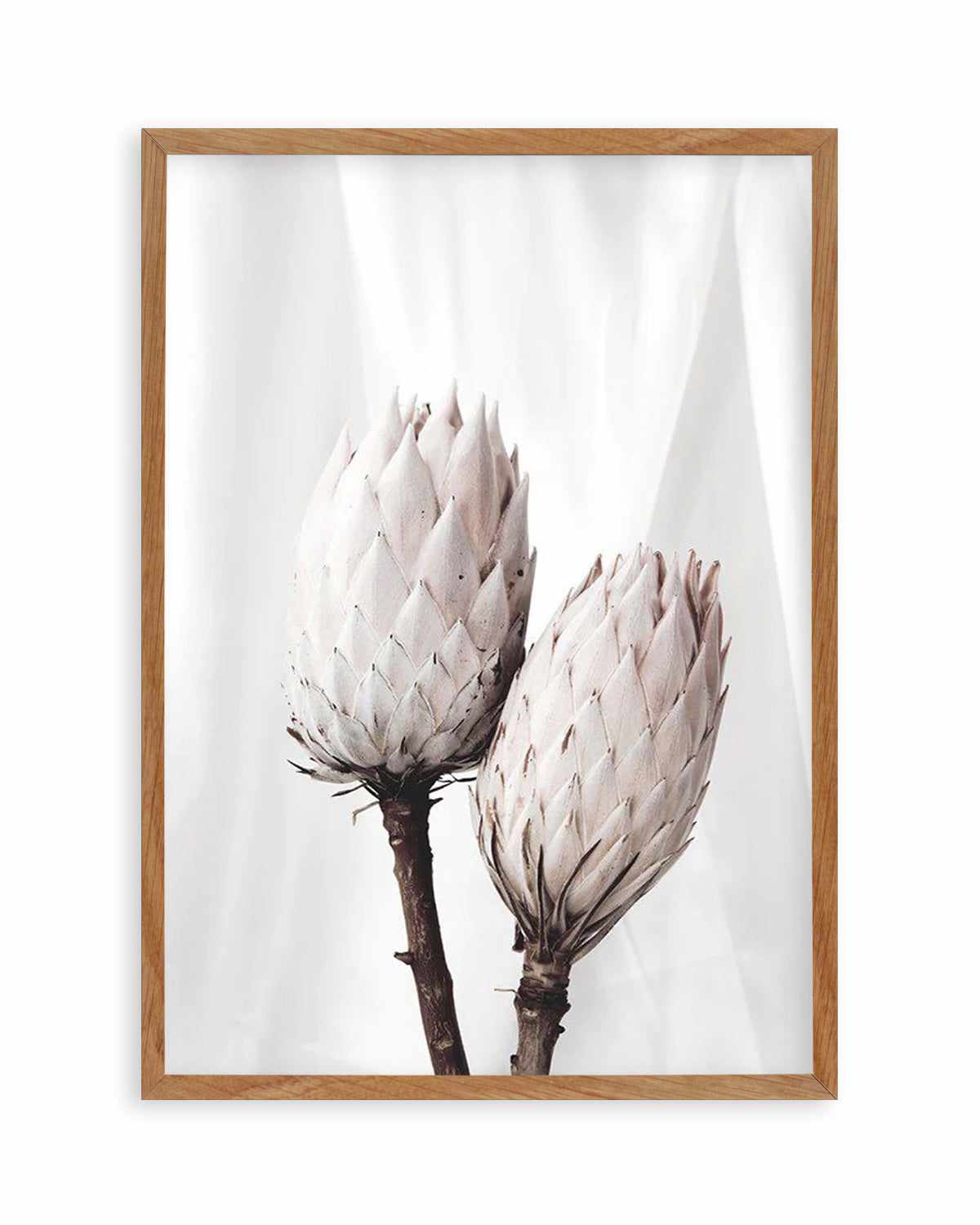 Twin Protea Art Print