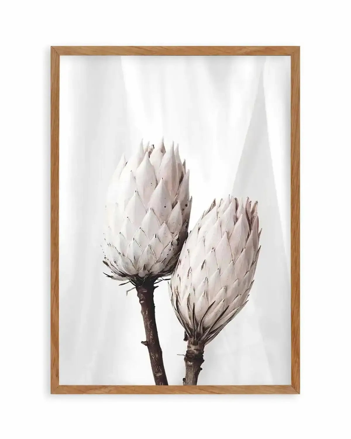 Twin Protea Art Print from Olive et Oriel where you can shop wallpaper and artworks online