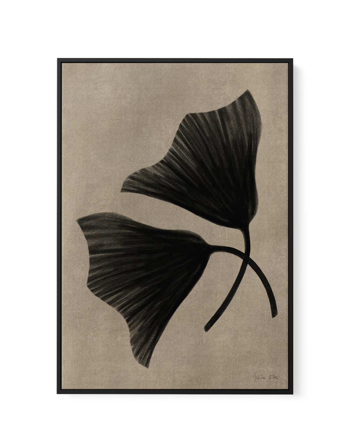 Two Flowers by Julita Elbe | Framed Canvas Art Print