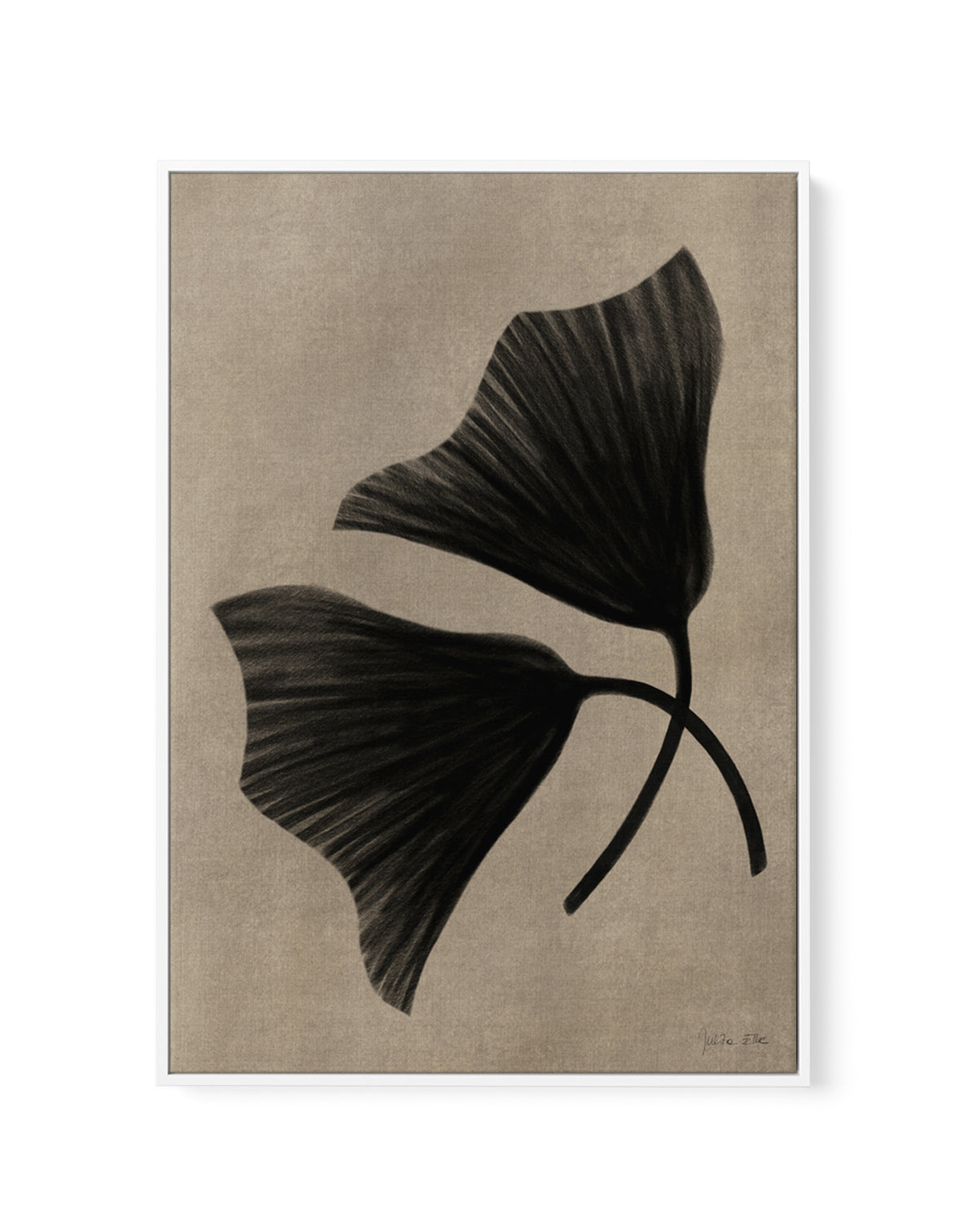 Two Flowers by Julita Elbe | Framed Canvas Art Print