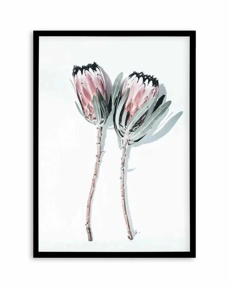 Two Of A Kind Art Print from Olive et Oriel where you can shop wallpaper and artworks online