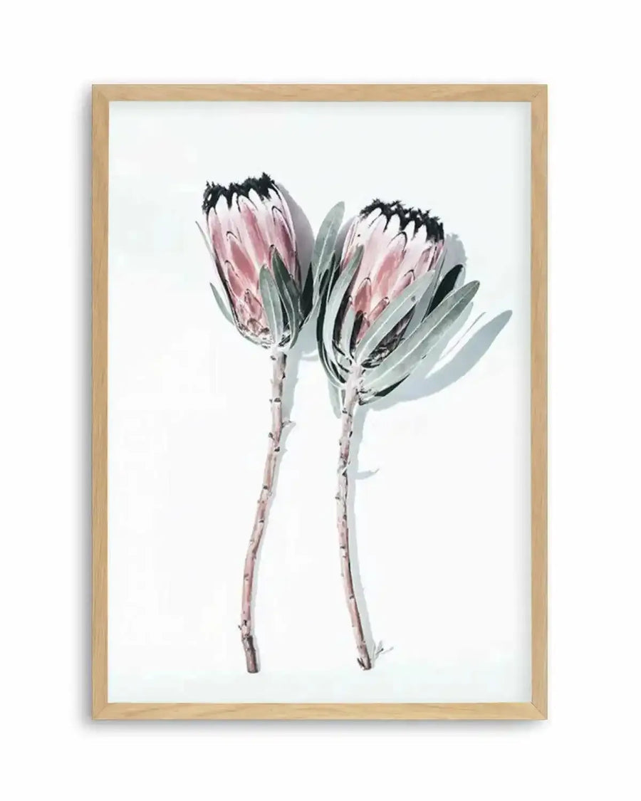 Two Of A Kind Art Print from Olive et Oriel where you can shop wallpaper and artworks online