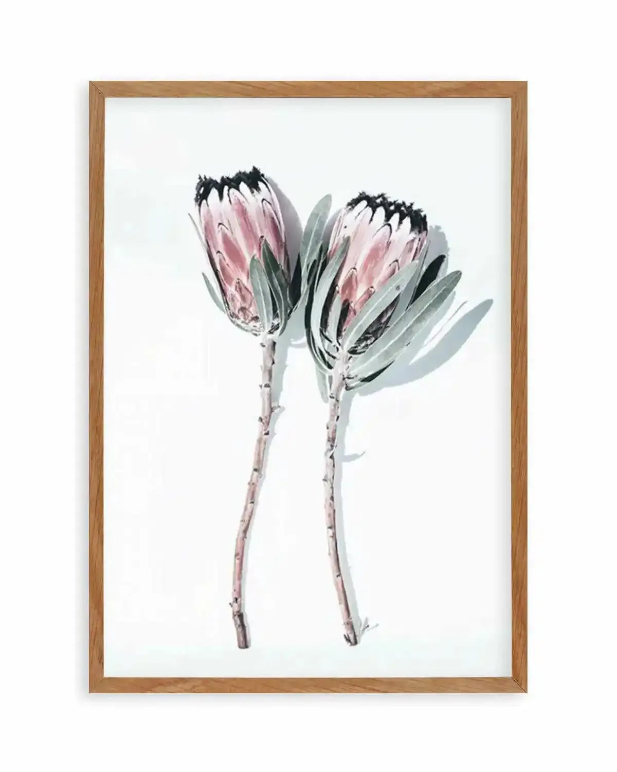 Two Of A Kind Art Print from Olive et Oriel where you can shop wallpaper and artworks online