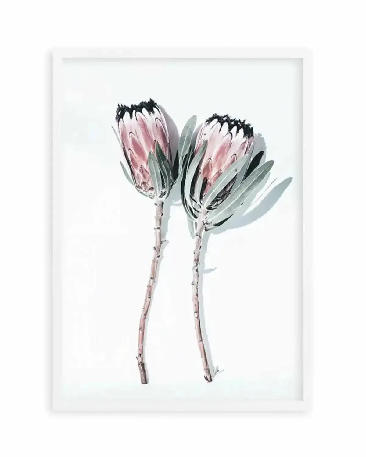 Two Of A Kind Art Print from Olive et Oriel where you can shop wallpaper and artworks online