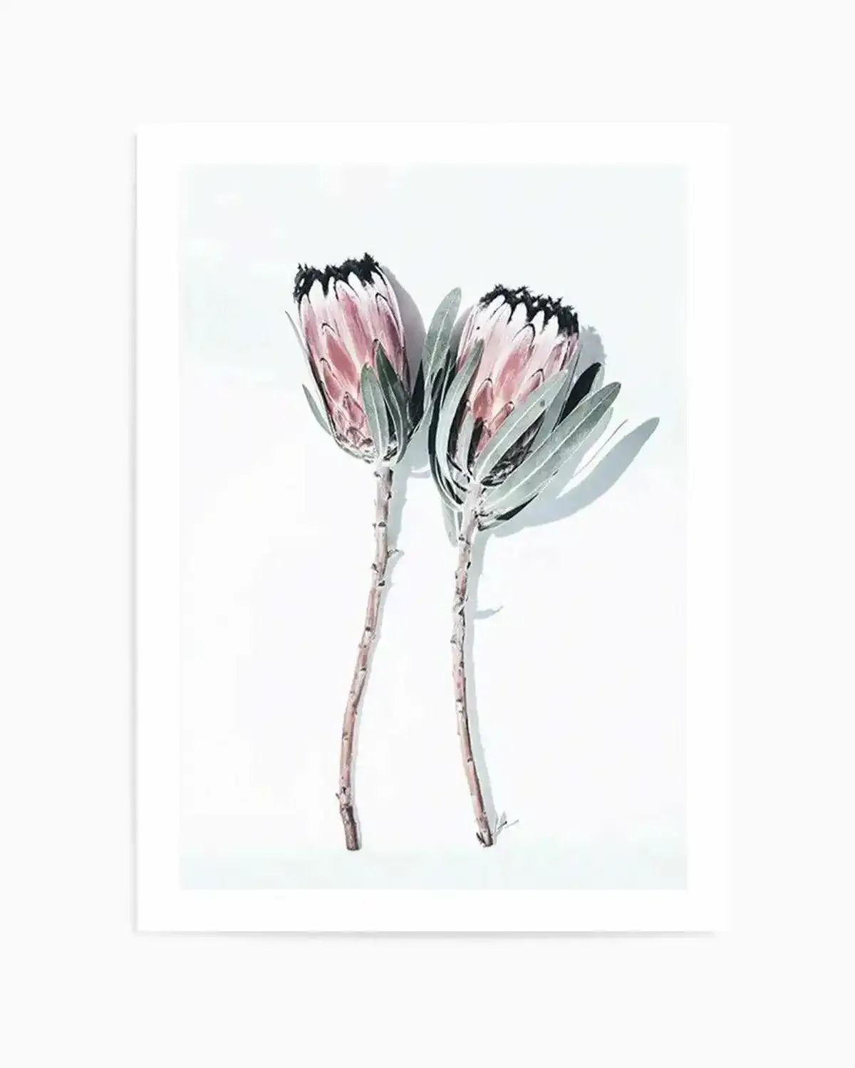 Two Of A Kind Art Print from Olive et Oriel where you can shop wallpaper and artworks online