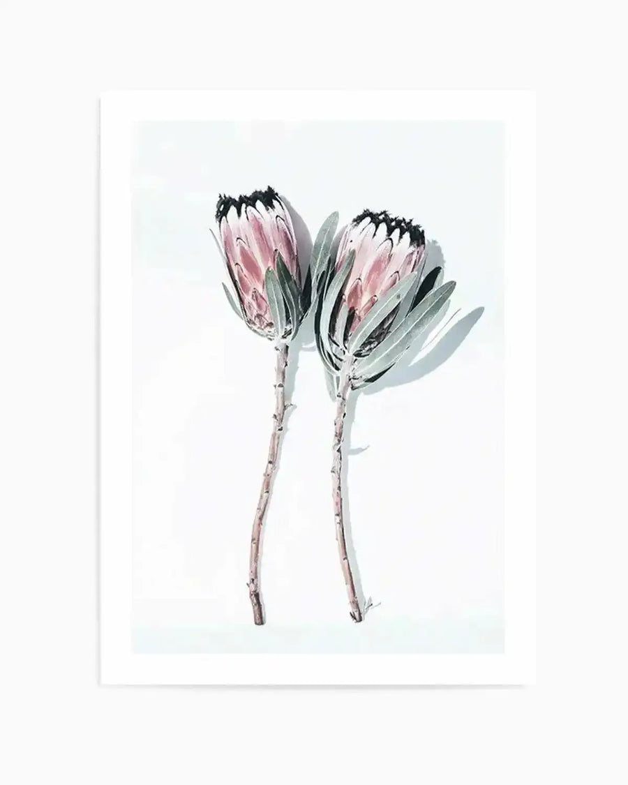 Two Of A Kind Art Print from Olive et Oriel where you can shop wallpaper and artworks online
