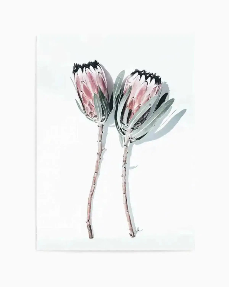 Two Of A Kind Art Print from Olive et Oriel where you can shop wallpaper and artworks online