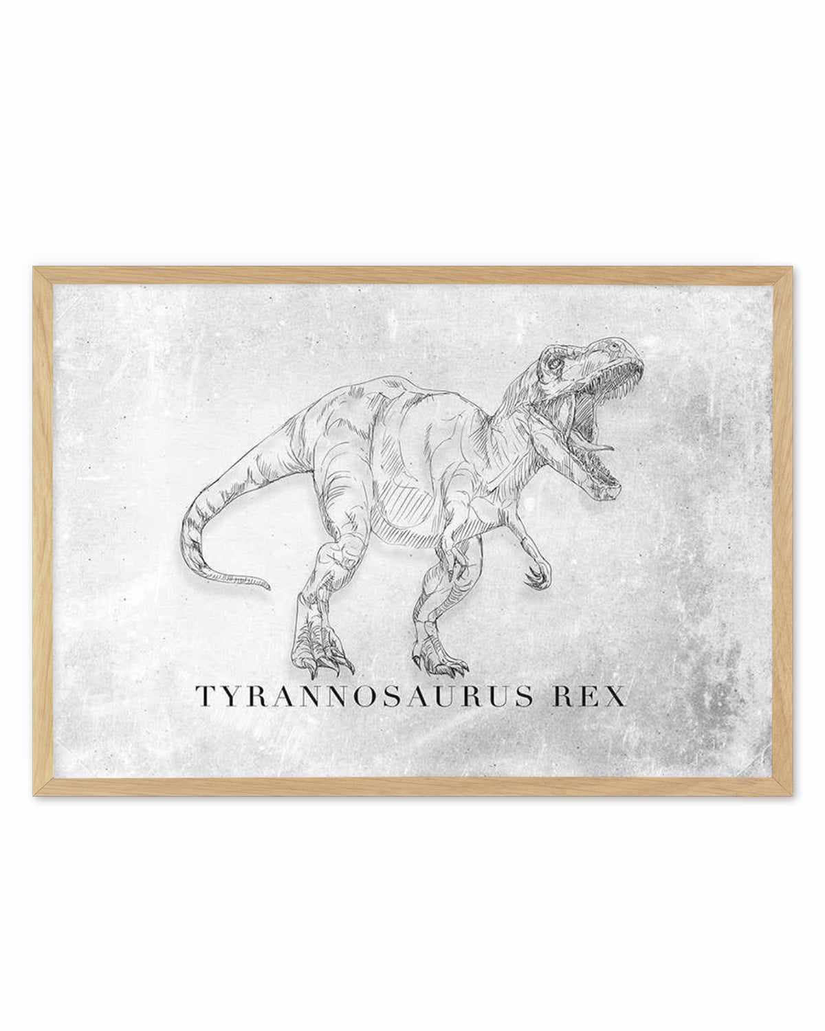 Tyrannosaurus Rex LS | Dinosaur Collection Art Print