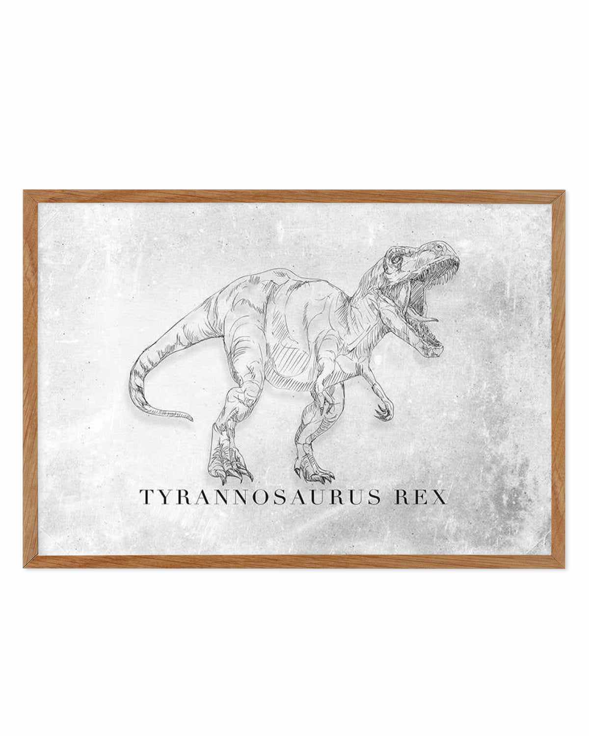 Tyrannosaurus Rex LS | Dinosaur Collection Art Print