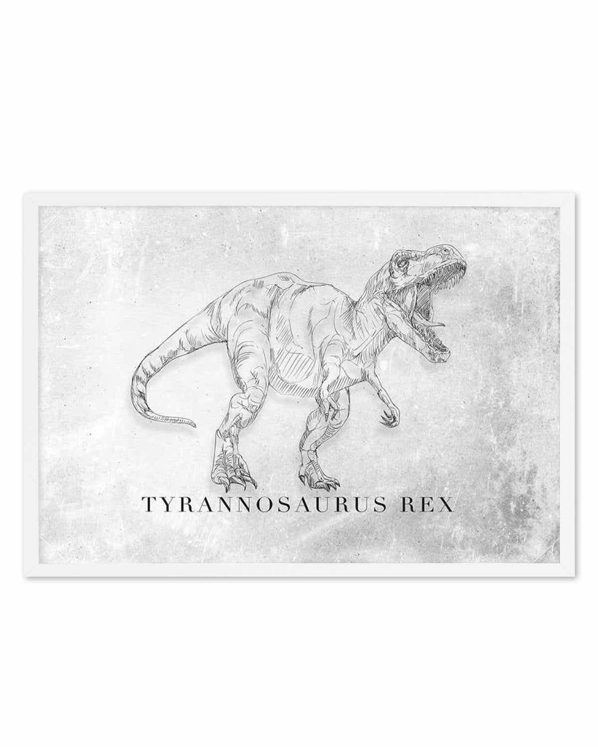 Tyrannosaurus Rex LS | Dinosaur Collection Art Print