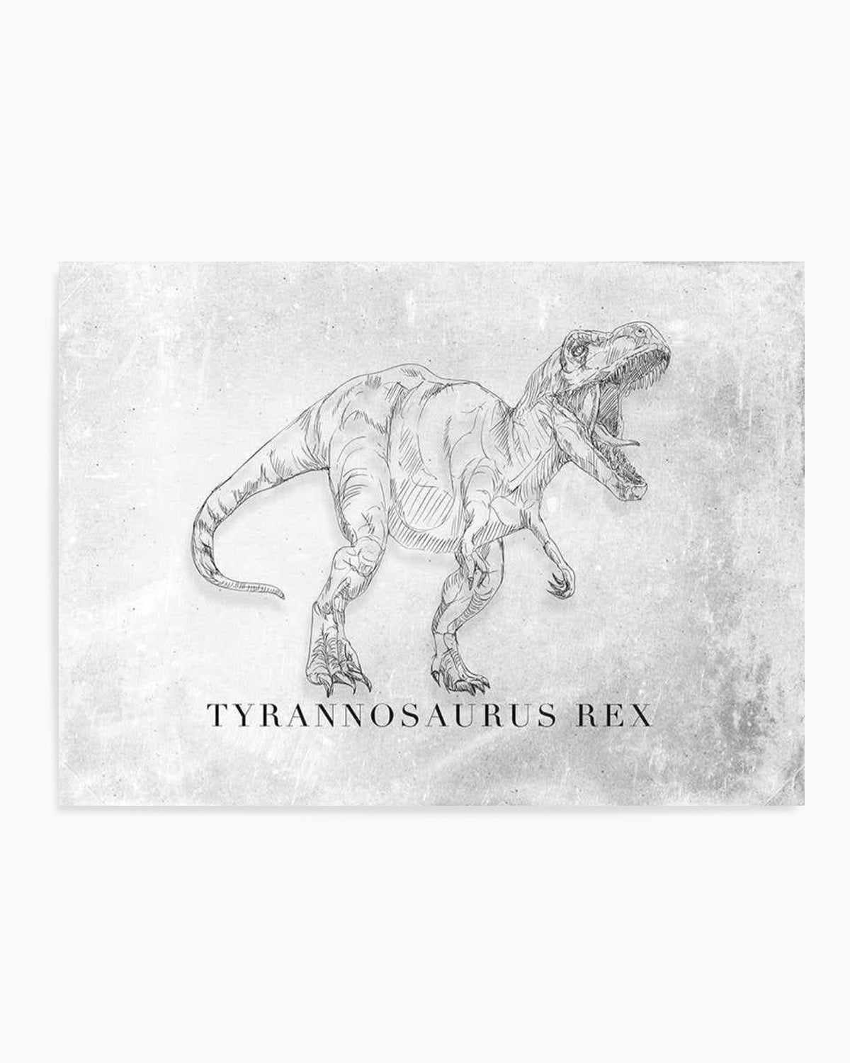 Tyrannosaurus Rex LS | Dinosaur Collection Art Print