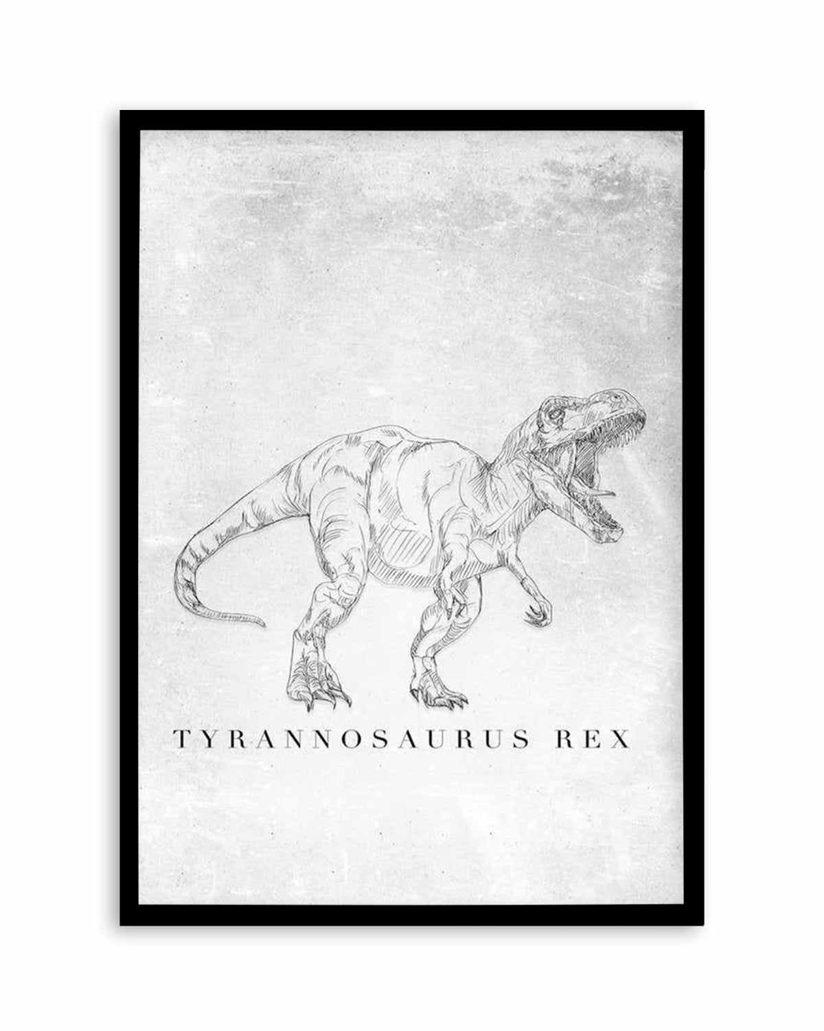 Tyrannosaurus Rex PT | Dinosaur Collection Art Print