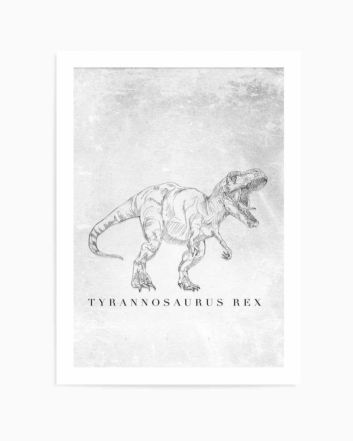 Tyrannosaurus Rex PT | Dinosaur Collection Art Print