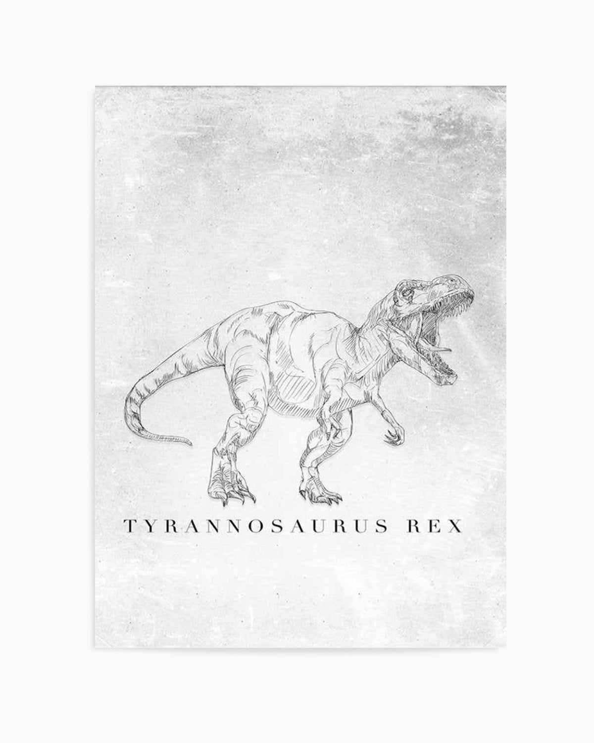 Tyrannosaurus Rex PT | Dinosaur Collection Art Print