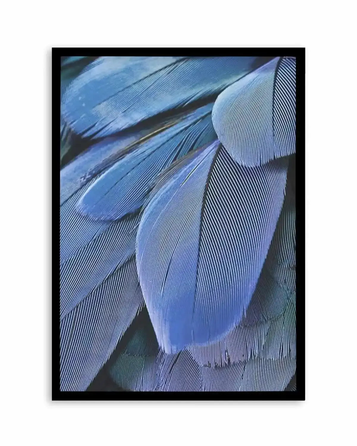 Ultra Violet Feather I Art Print from Olive et Oriel where you can shop wallpaper and artworks online