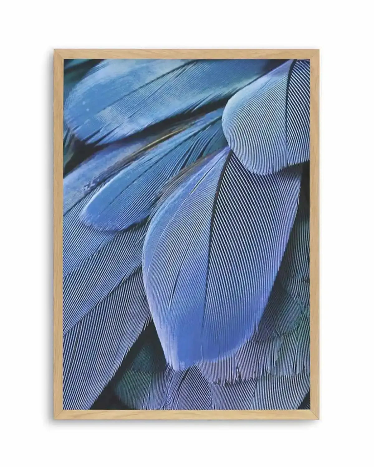 Ultra Violet Feather I Art Print from Olive et Oriel where you can shop wallpaper and artworks online