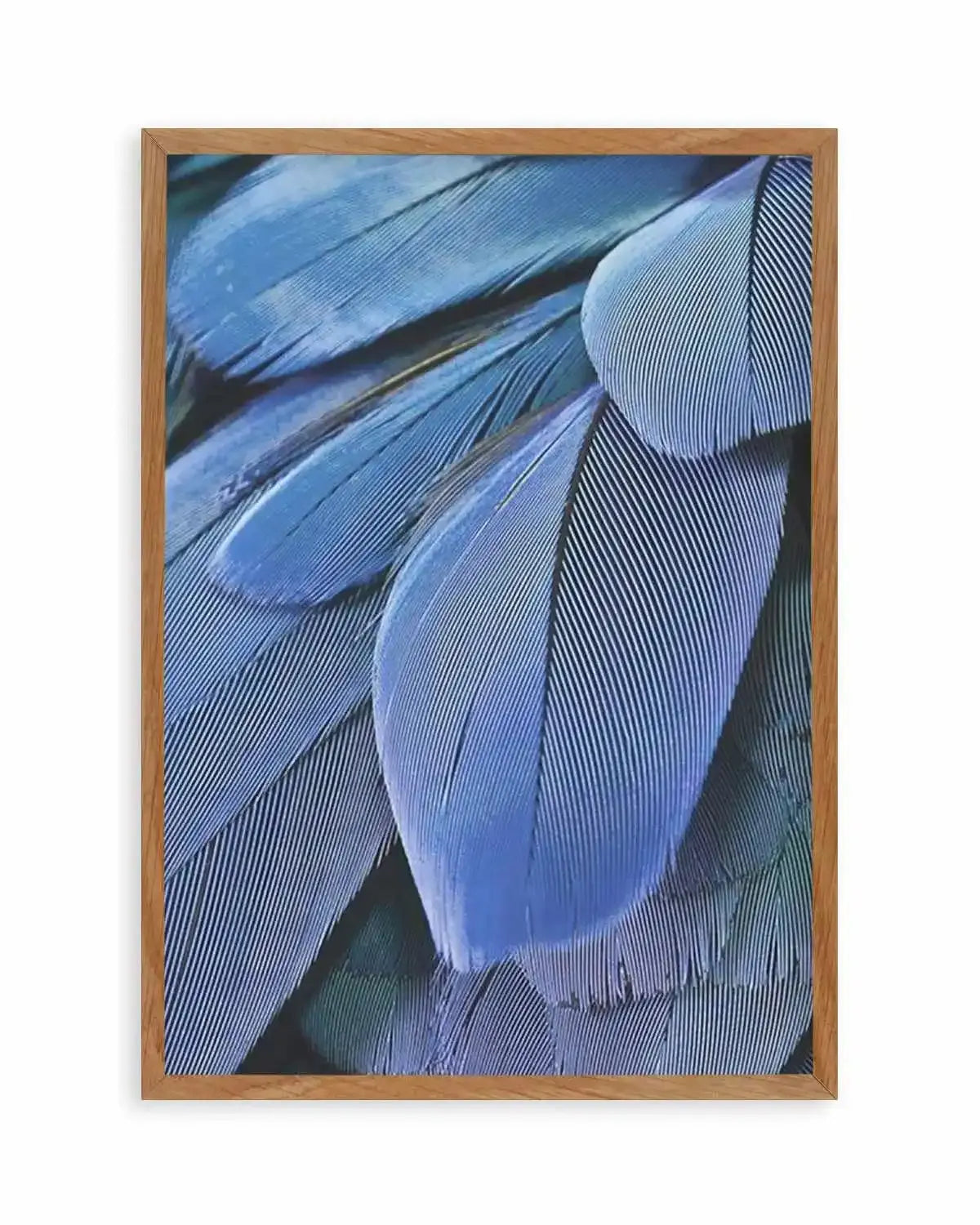 Ultra Violet Feather I Art Print from Olive et Oriel where you can shop wallpaper and artworks online