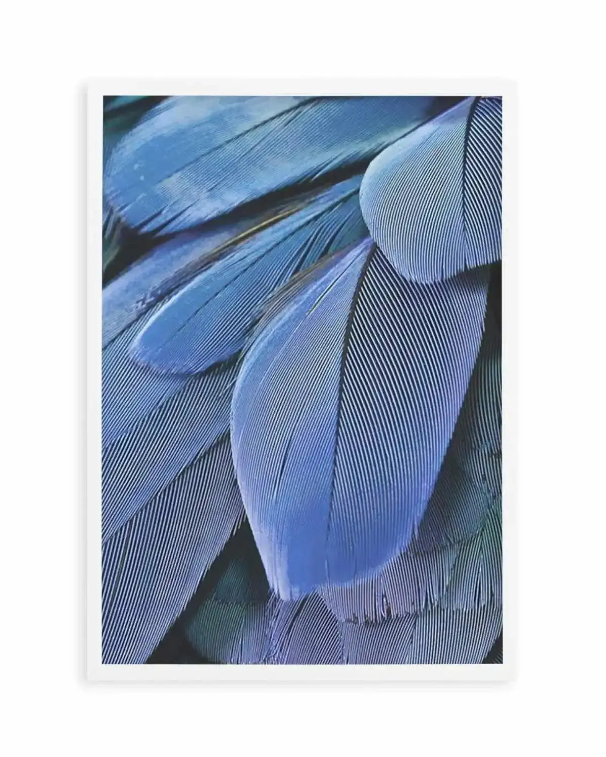 Ultra Violet Feather I Art Print from Olive et Oriel where you can shop wallpaper and artworks online