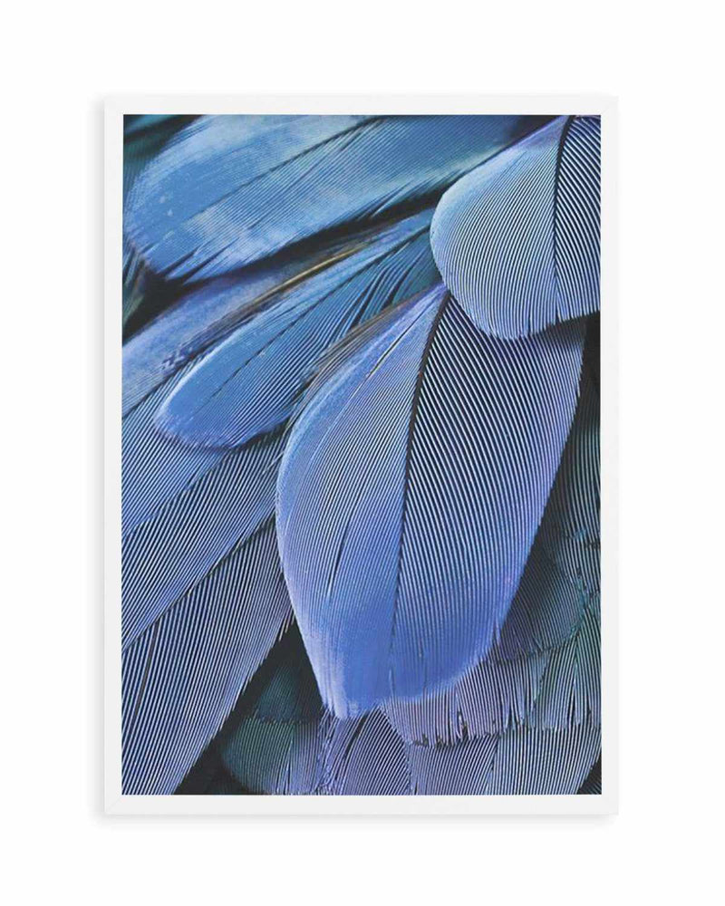 Ultra Violet Feather I Art Print