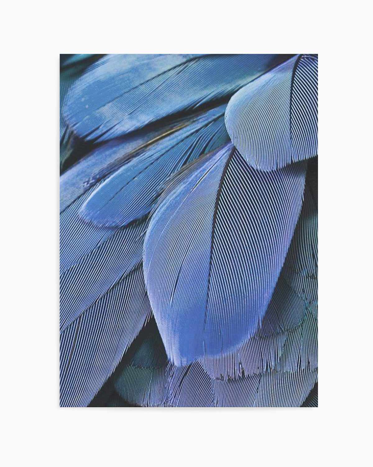 Ultra Violet Feather I Art Print