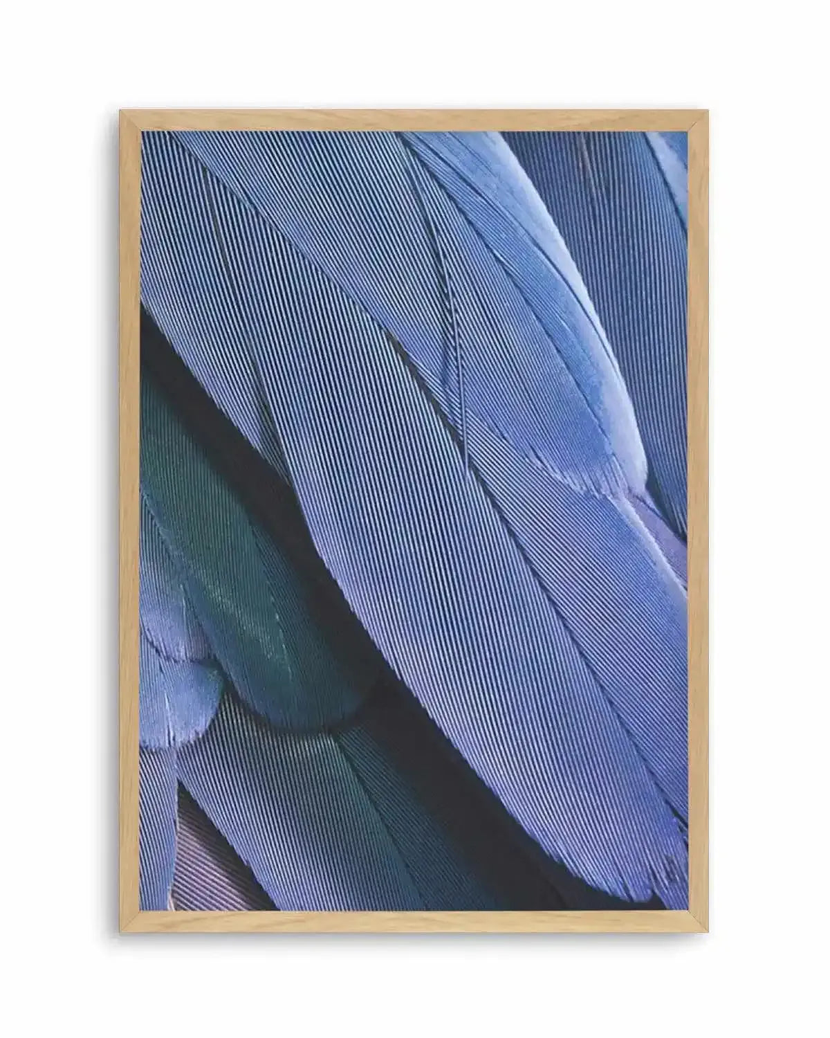 Ultra Violet Feather II Art Print from Olive et Oriel where you can shop wallpaper and artworks online