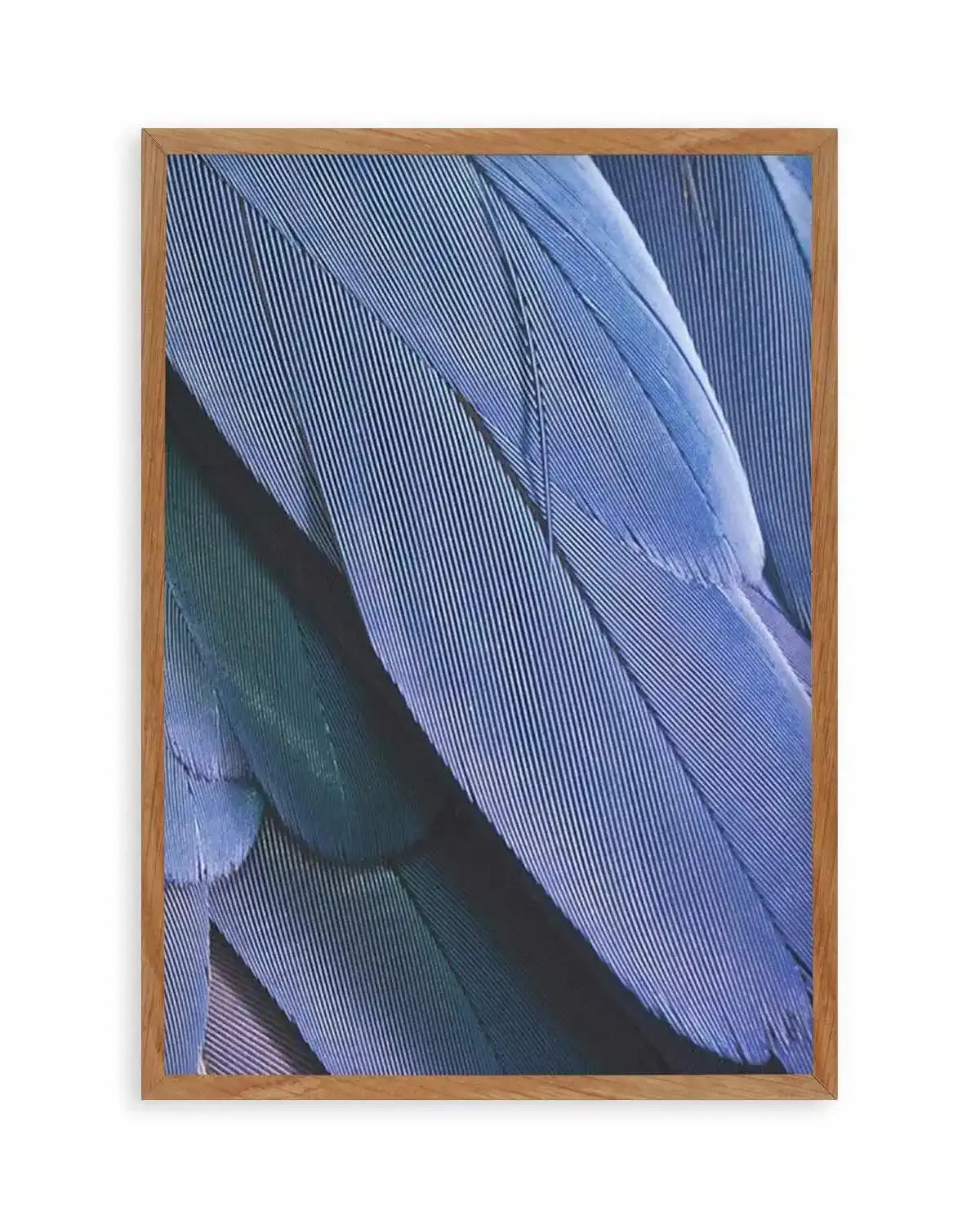Ultra Violet Feather II Art Print from Olive et Oriel where you can shop wallpaper and artworks online