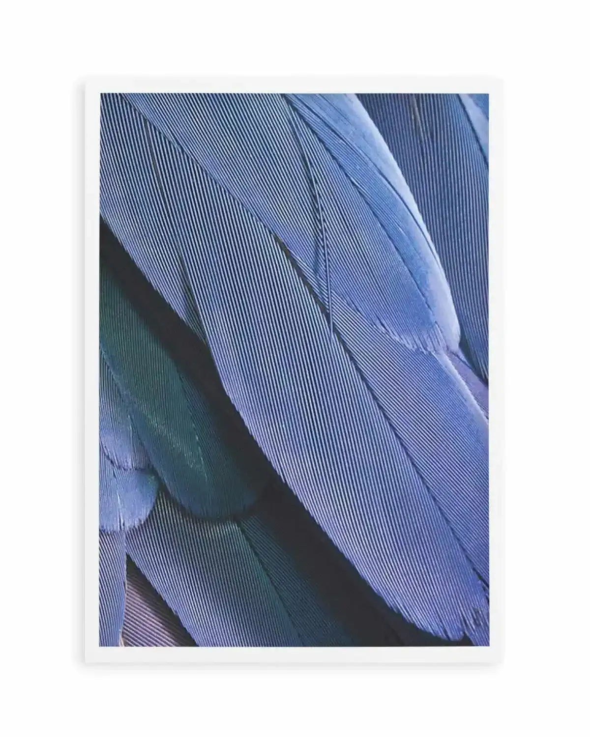 Ultra Violet Feather II Art Print from Olive et Oriel where you can shop wallpaper and artworks online