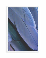 Ultra Violet Feather II Art Print