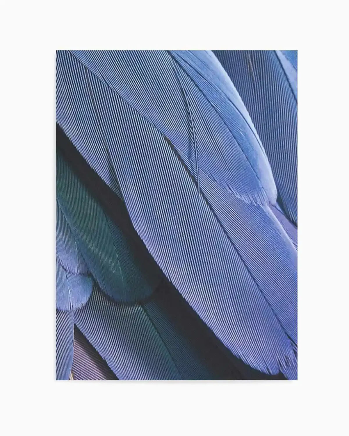 Ultra Violet Feather II Art Print from Olive et Oriel where you can shop wallpaper and artworks online