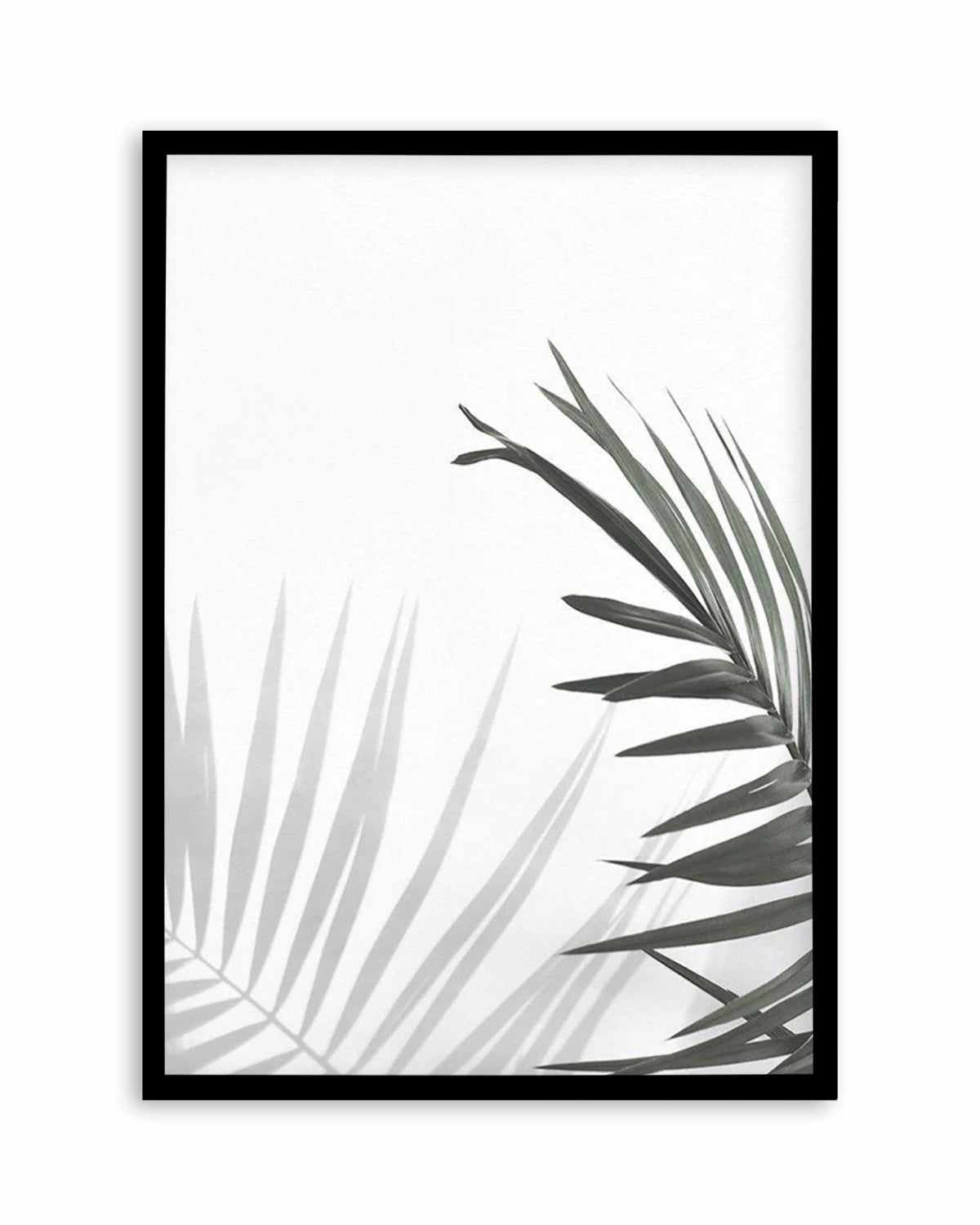 Under The Palm Art Print