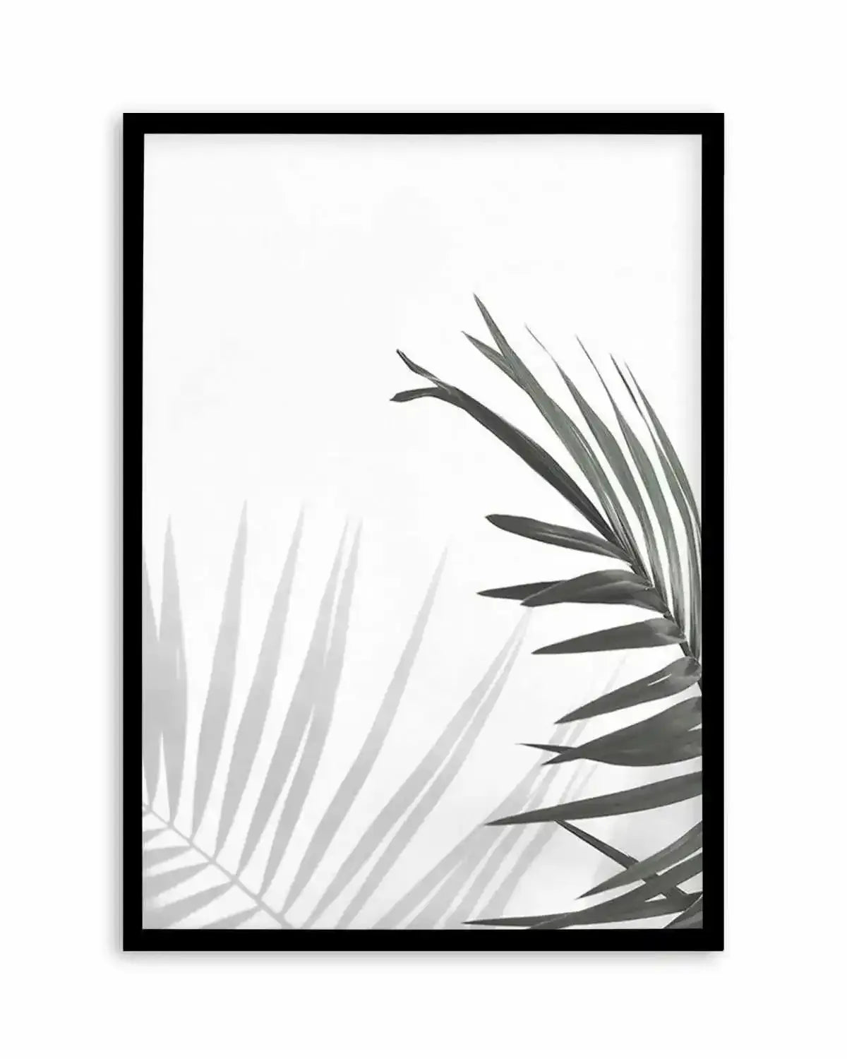 Under The Palm Art Print from Olive et Oriel where you can shop wallpaper and artworks online