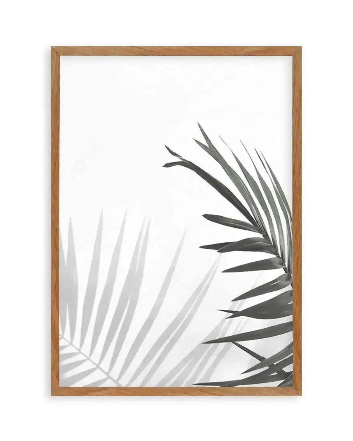 Under The Palm Art Print from Olive et Oriel where you can shop wallpaper and artworks online