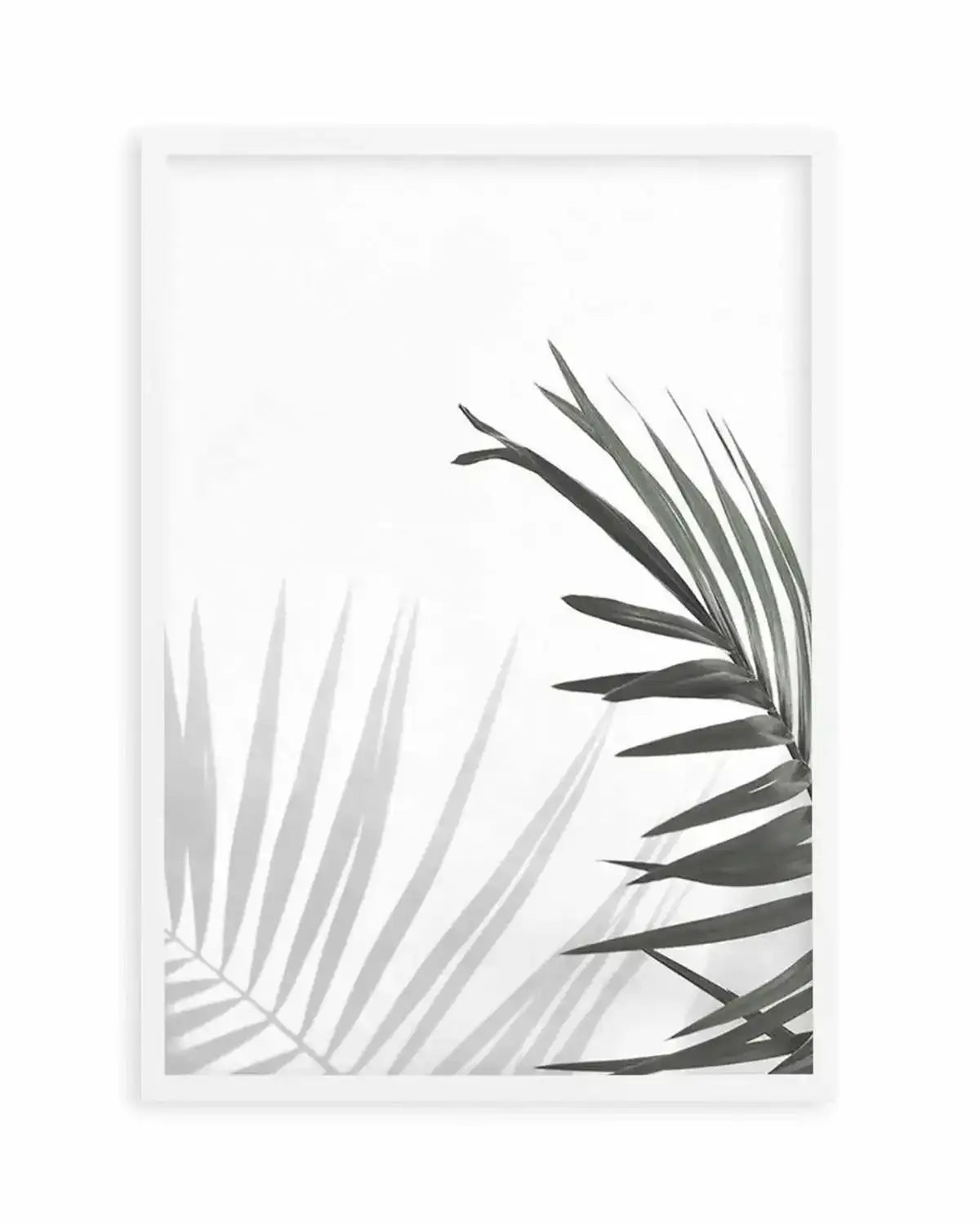 Under The Palm Art Print from Olive et Oriel where you can shop wallpaper and artworks online